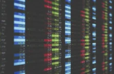 Bourse : les valeurs moyennes préférées de Portzamparc pour 2024