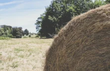 Crise paysanne : le gouvernement demande une trêve