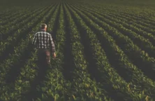 UE – Mercosur : Paris du côté des agriculteurs français