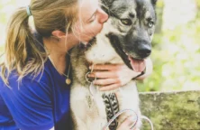 Vetoquinol/Virbac : la santé animale en meilleure forme