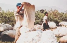 Coton : l’étoffe des héros